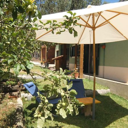 Ecobosque Vila Nadadouro Exterior foto