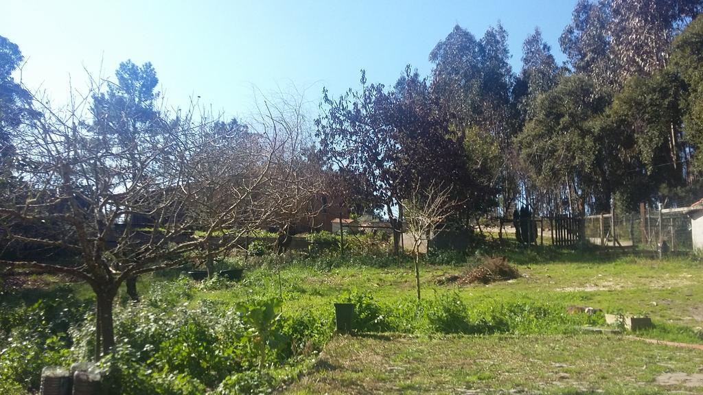 Ecobosque Vila Nadadouro Exterior foto