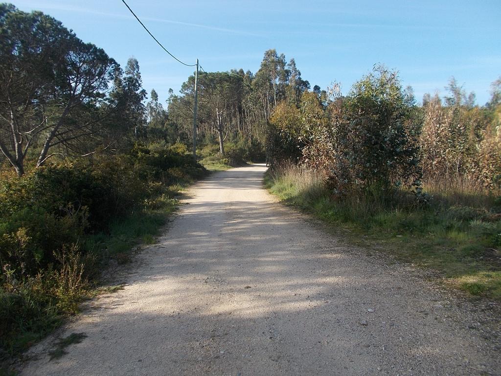 Ecobosque Vila Nadadouro Exterior foto