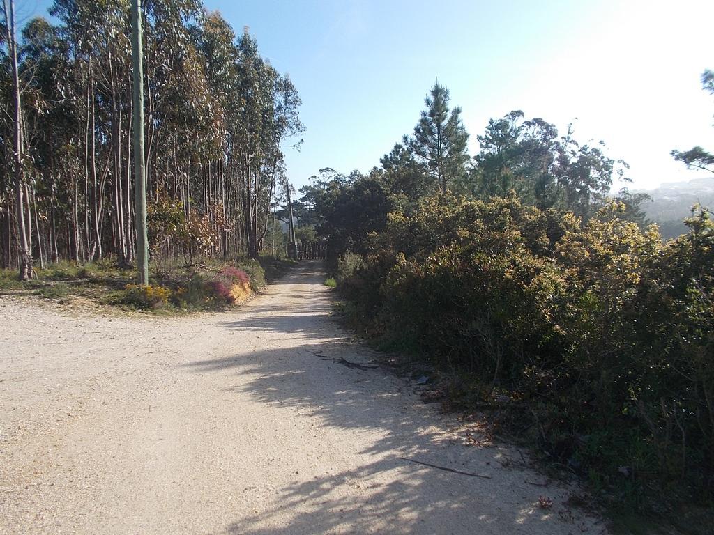 Ecobosque Vila Nadadouro Exterior foto