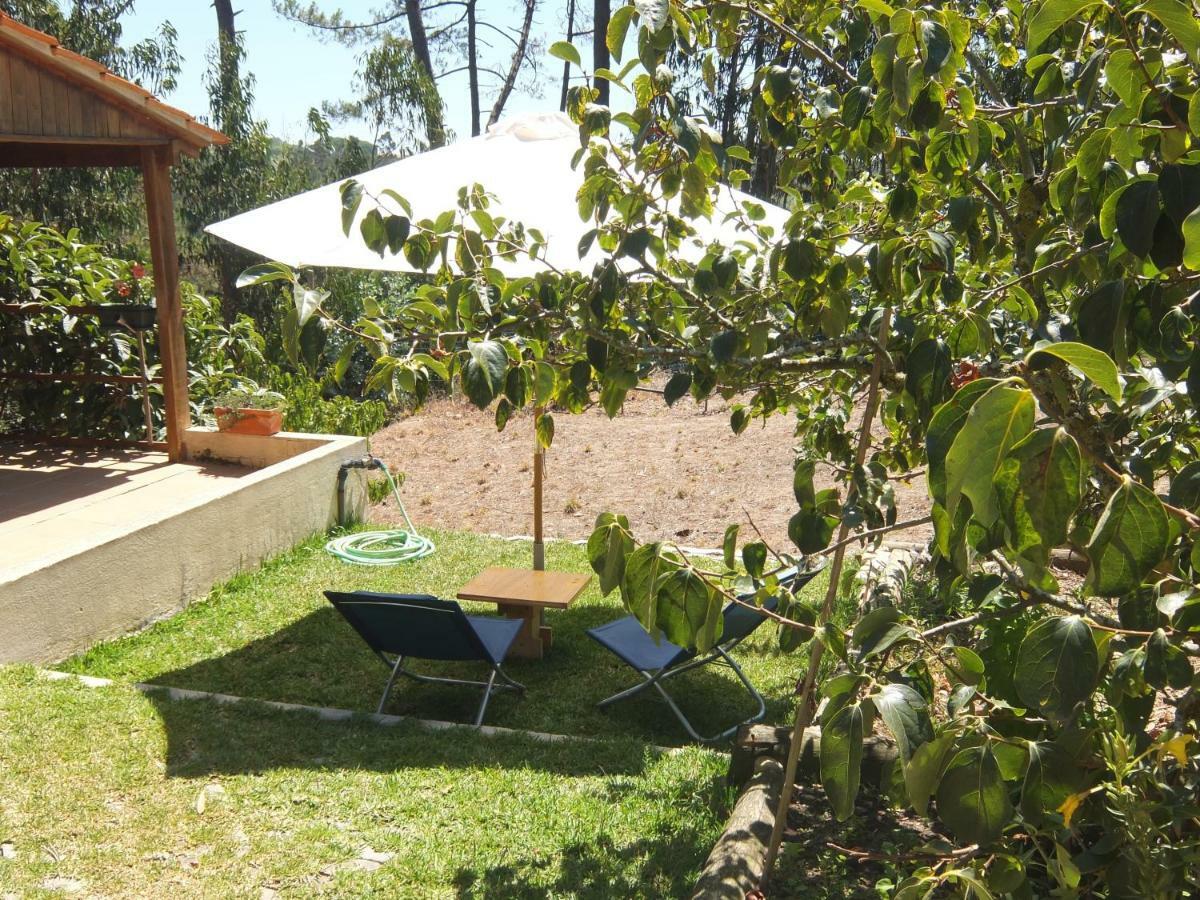 Ecobosque Vila Nadadouro Exterior foto